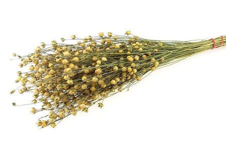 LEN KOLOR NATURALNY 2 pęk XXL ~150 g rozgałęziony naturalny len suszony niebarwiony dodatek florystyczny